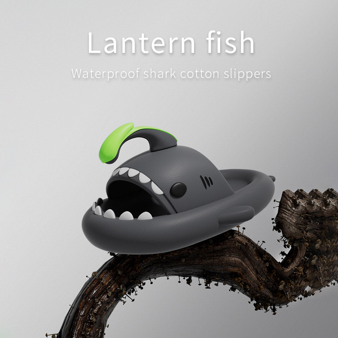 Lantern Shark Slides™