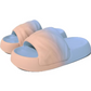 Infusion Slides™